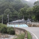 상비민박 네이버블로그