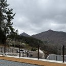 펫츠런파크 | 하율솜 캠핑기∗❛ᴗ❛∗ ) “펫츠런파크”, 경남애견동반캠핑장 , 경남신설캠핑장 , 명당사이트추천, 울타리...