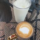 애견샵 어린왕자 이미지