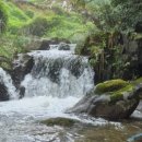 네스트홍천 | 홍천] 강원도 홍천 펜션 추천 반년만에 다시 방문한 홍천 가령폭포 계곡 펜션 네스트홍천 내돈내산...