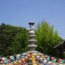 용호사 Daum카페