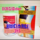 스키니바디 네이버블로그