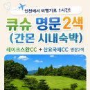 스완골프