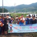 희망돈 농장 이미지