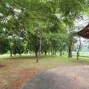 홀론공원 이미지