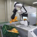 성주농협 APC 이미지