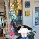 리프패럿 이미지