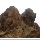 범골조기회 이미지