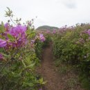 좋은아침 이미지