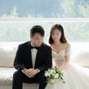 아비토 테일러 웨딩 수트 후기