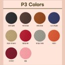 (주)메종오토모빌 | 시흥 부천 인천 신형 디올뉴팰리세이드LX3 모빌하임P3 라떼브라운 모노륨 시공후기!!