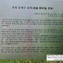 전첨 류세구묘역 이미지