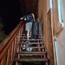 그린파파야 | 보홀 가성비 숙소 센트 오브 그린 파파야 조식 수영장 내돈내산