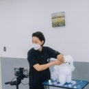 오드리펫 이미지