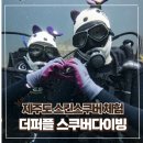 올리브낭 | 제주 서귀포 커플 여행 스킨스쿠버 액티비티 체험 더퍼플 스쿠퍼다이빙