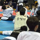 국가대표 올림픽 태권도장 이미지