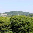 남이공업사 티스토리