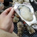 (주)명품수산