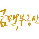 금금맥공인중개사사무소 이미지