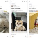 동네24+1 | 동네24 1