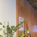 에이씨오(ACO) 이미지