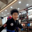 월드합기도 이미지