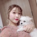 노유경헤어