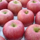 볼빨간 농원 이미지