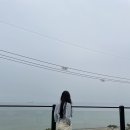 스틸사이드 티스토리