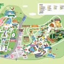 조이랜드 이미지