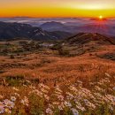 은빛축산 이미지