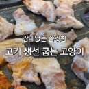 부천 고기 생선 굽는 고양이ㅣ잡내 없는 쫄깃함. 뒷고기 맛집