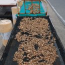 시목민박1 이미지