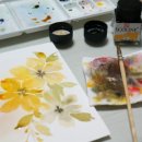 에코라인 이미지