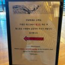 [콘래드서울] pulse8 수영장 이용 후기 🩵