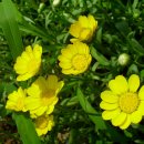 관음어린이집 이미지