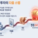 현금한돈