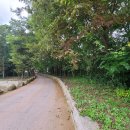 건국터미널 | 월출산 정기가 흐르는 영암 여행 5편 천년 고찰 도갑사 대웅보전 용수 폭포 사자 저수지 카페 피크니처