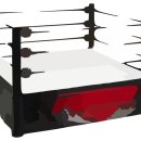 최기수복싱체육관 이미지