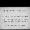 윤파이 이미지
