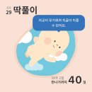 스마일동물병원 - 군산시 공단대로 429 | 스마일동물병원