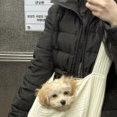해이블링