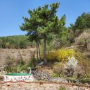 남해궁펜션 이미지