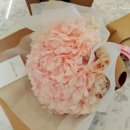 카페그로우