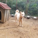 자룡농장 이미지