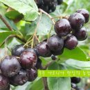 만인농장 이미지