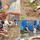 신현(쌈지돈)마을 이미지