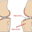 이윤세동물병원 이미지
