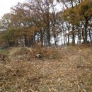 현덕보건지소 이미지