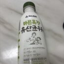 데일리목장 | 파스퇴르 바른목장 유산균우유 솔직후기 아이도 잘 먹는 달콤한 우유 추천🥛